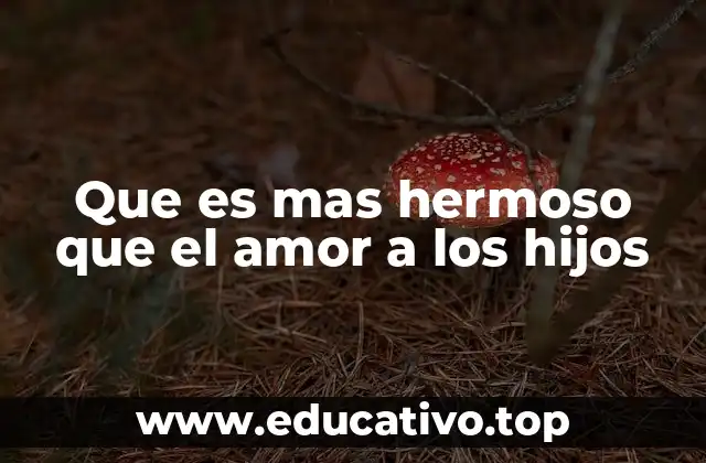 Que es mas hermoso que el amor a los hijos