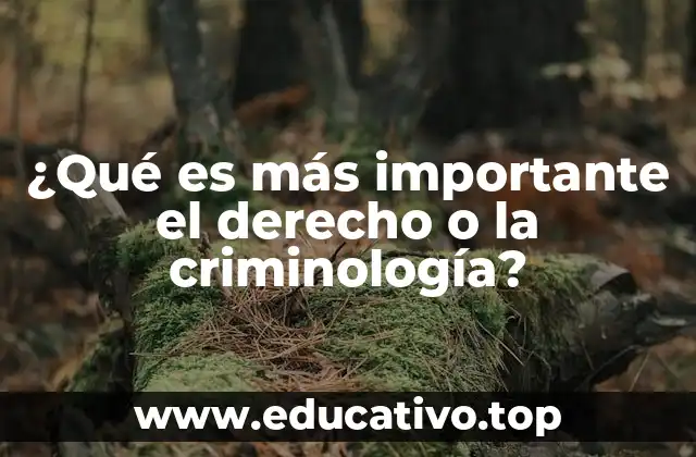 ¿Qué es más importante el derecho o la criminología?
