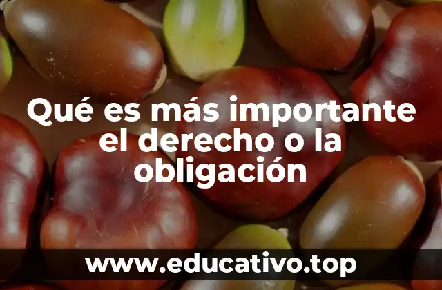Qué es más importante el derecho o la obligación