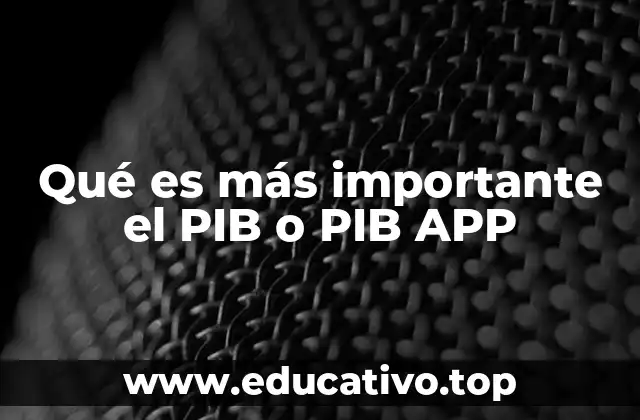 Qué es más importante el PIB o PIB APP