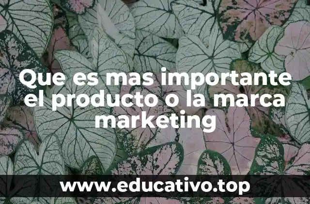 Que es mas importante el producto o la marca marketing