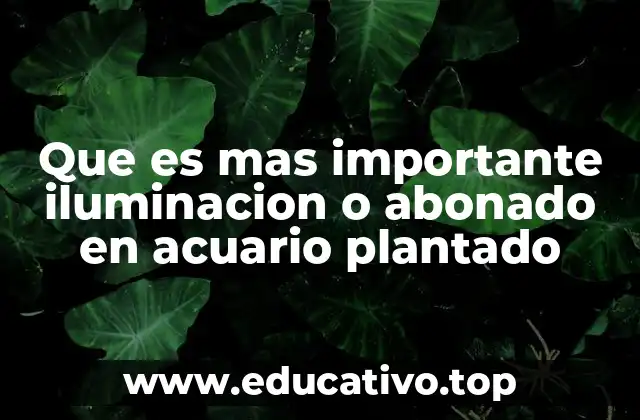 Que es mas importante iluminacion o abonado en acuario plantado