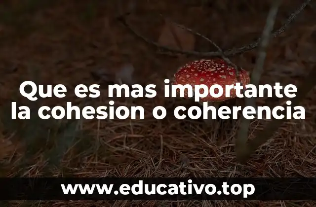 Que es mas importante la cohesion o coherencia