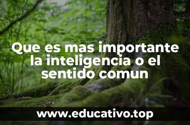 Que es mas importante la inteligencia o el sentido comun