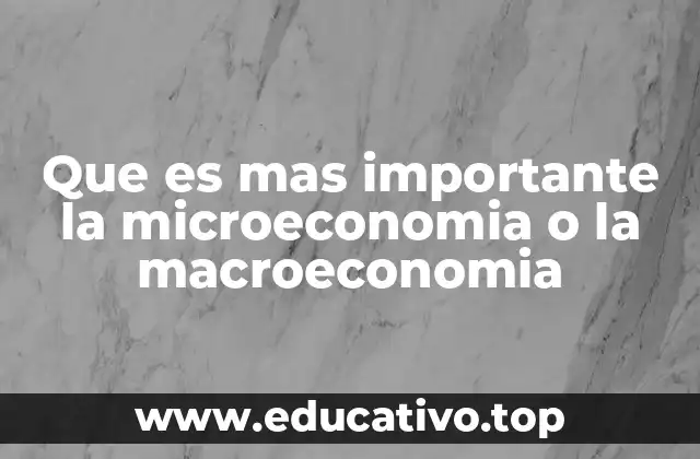 Que es mas importante la microeconomia o la macroeconomia
