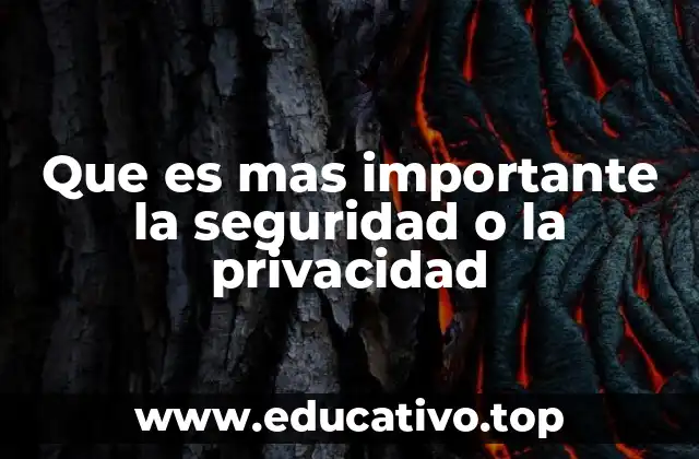 Que es mas importante la seguridad o la privacidad