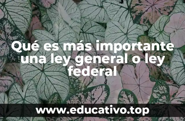 Qué es más importante una ley general o ley federal