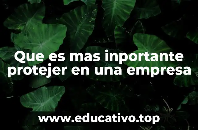 Que es mas inportante protejer en una empresa