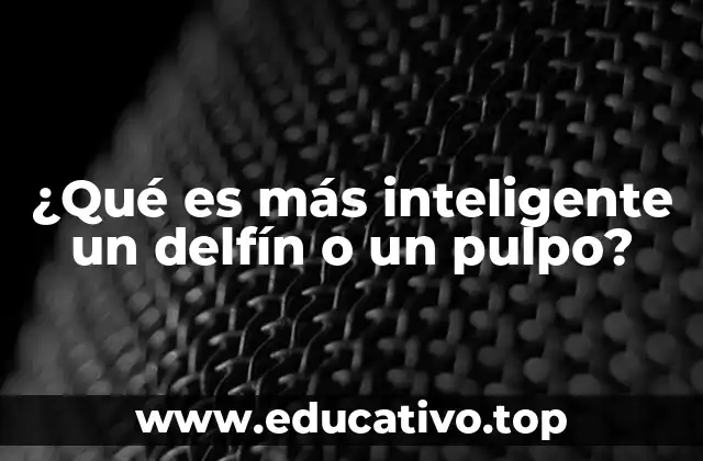 ¿Qué es más inteligente un delfín o un pulpo?