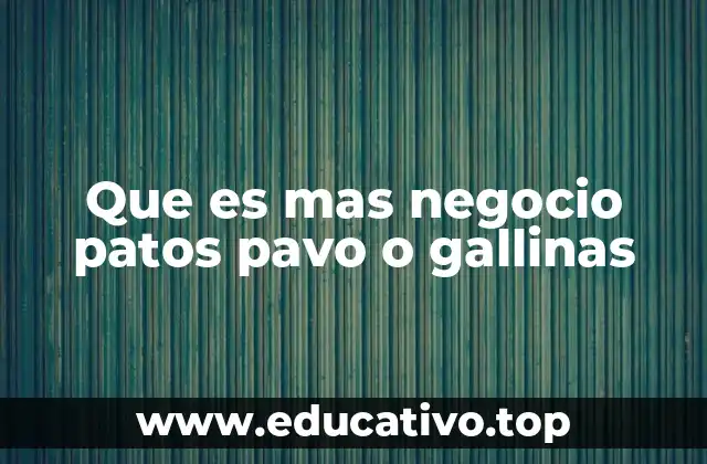 Que es mas negocio patos pavo o gallinas