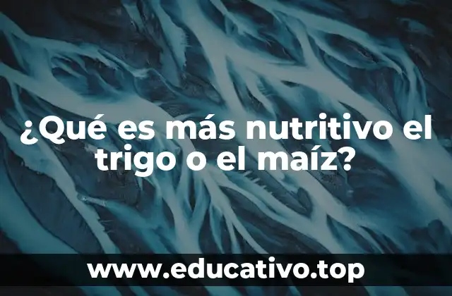 ¿Qué es más nutritivo el trigo o el maíz?
