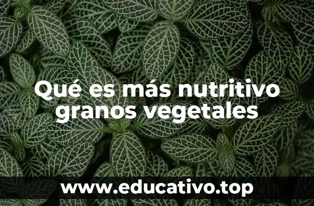 Qué es más nutritivo granos vegetales