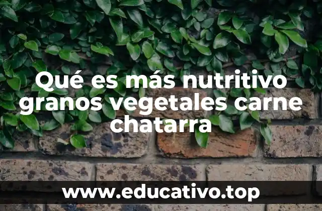 Qué es más nutritivo granos vegetales carne chatarra