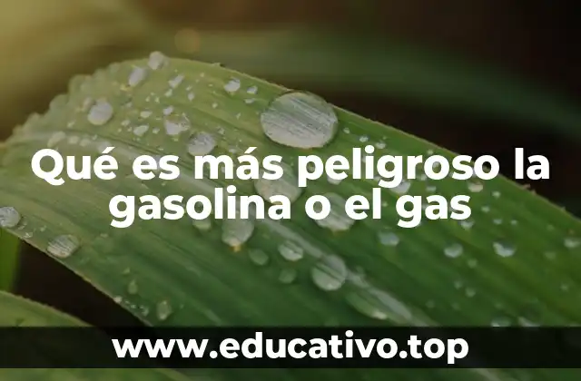 Qué es más peligroso la gasolina o el gas
