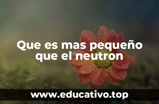 Que es mas pequeño que el neutron