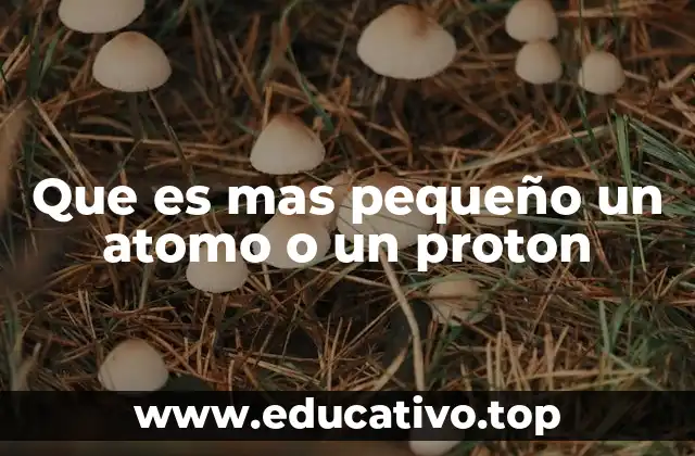 Que es mas pequeño un atomo o un proton