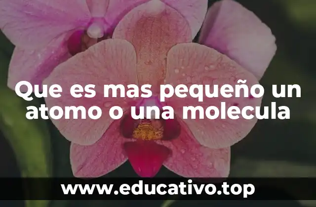 Que es mas pequeño un atomo o una molecula