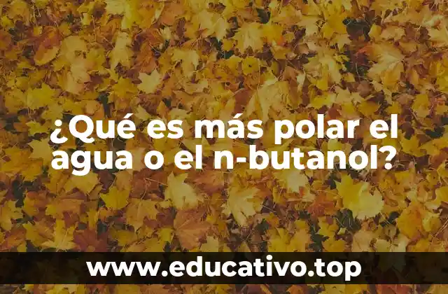 ¿Qué es más polar el agua o el n-butanol?