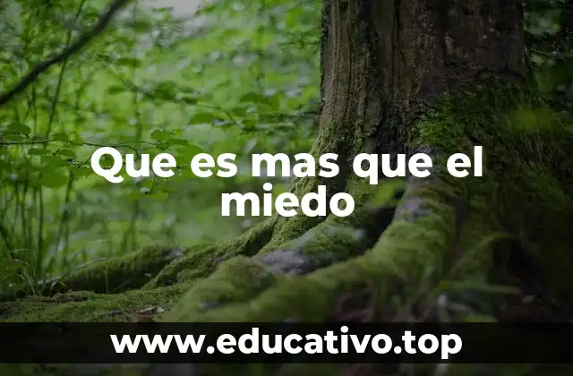 El camino hacia el coraje