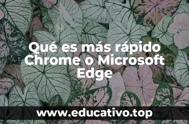 Factores que influyen en la velocidad de los navegadores