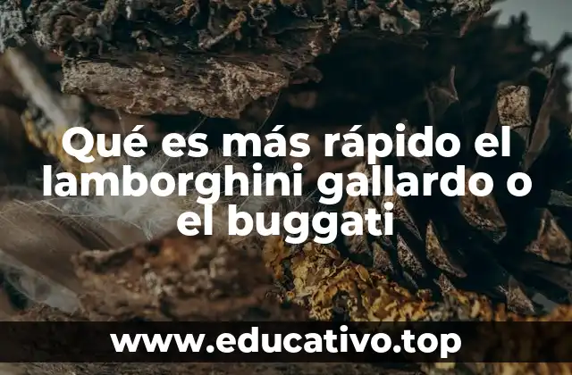 Qué es más rápido el lamborghini gallardo o el buggati
