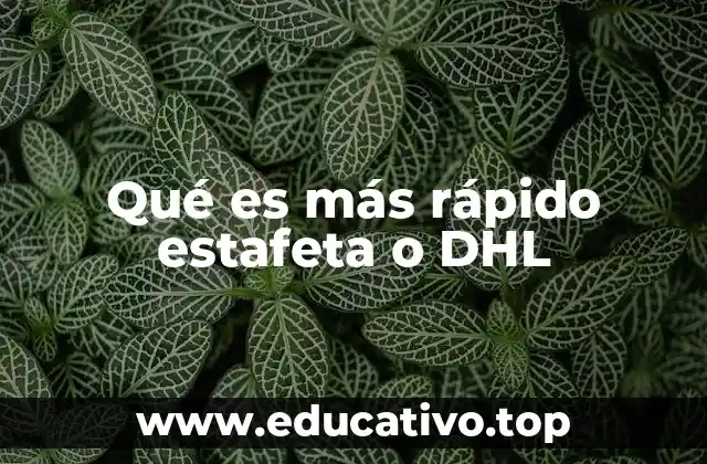 Qué es más rápido estafeta o DHL