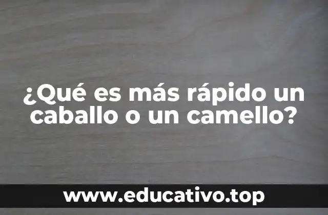¿Qué es más rápido un caballo o un camello?