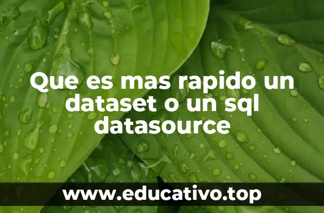 Que es mas rapido un dataset o un sql datasource
