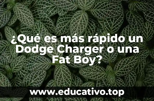 ¿Qué es más rápido un Dodge Charger o una Fat Boy?