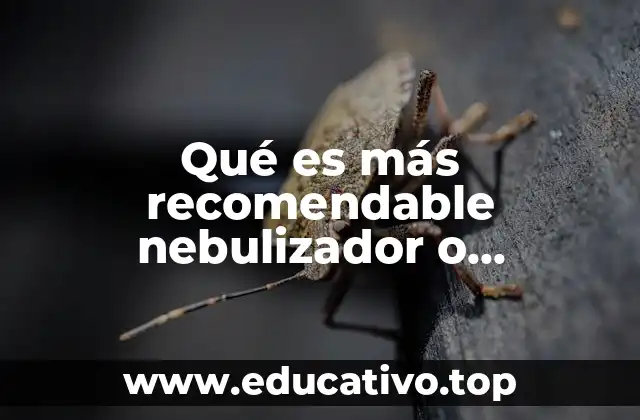 Qué es más recomendable nebulizador o humidificador