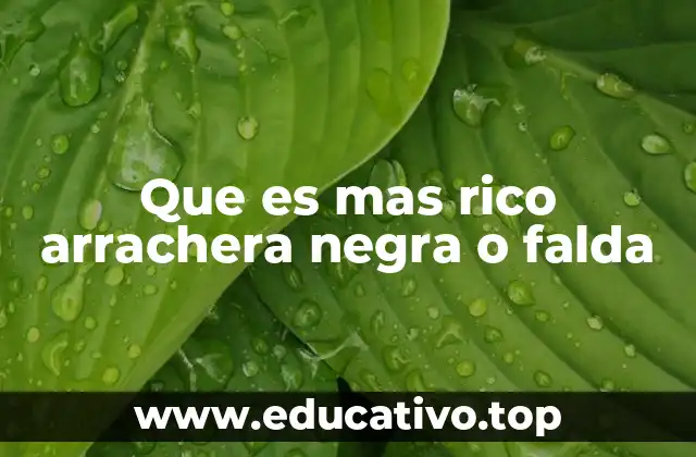 Que es mas rico arrachera negra o falda