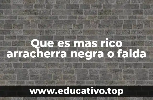 Que es mas rico arracherra negra o falda