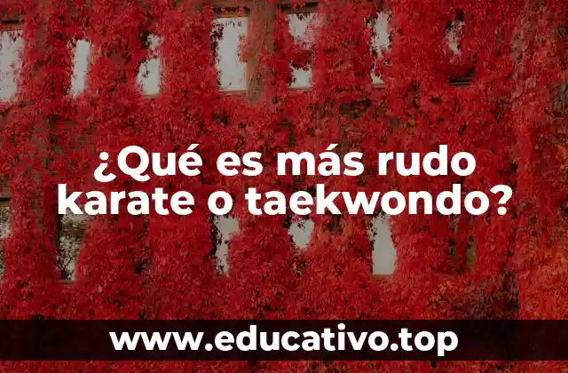 ¿Qué es más rudo karate o taekwondo?