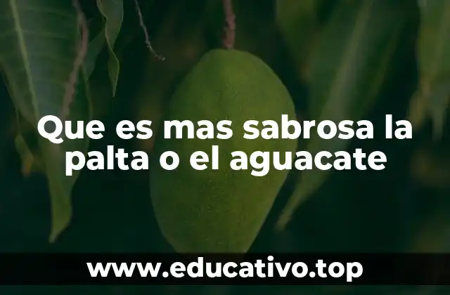 Que es mas sabrosa la palta o el aguacate