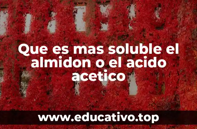 Comparación de solubilidad entre compuestos orgánicos y carbohidratos