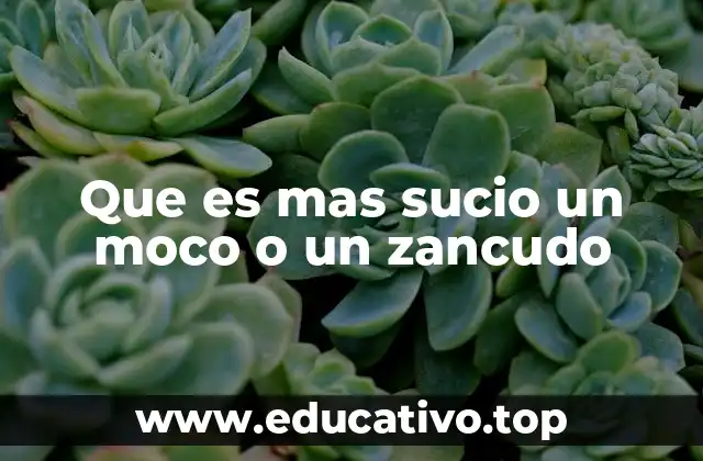 Que es mas sucio un moco o un zancudo