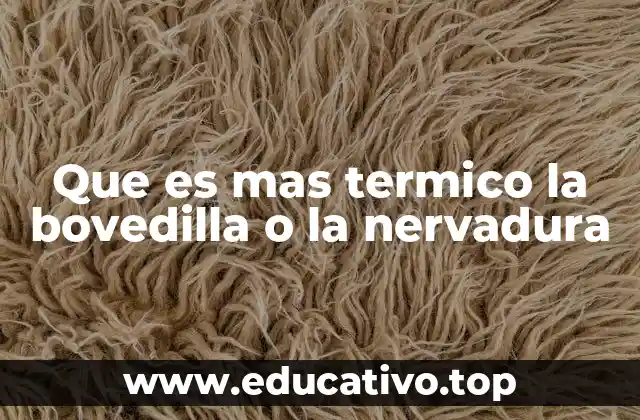 Que es mas termico la bovedilla o la nervadura