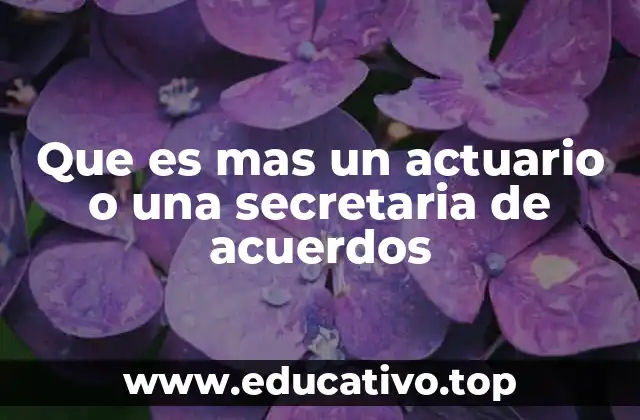 Que es mas un actuario o una secretaria de acuerdos