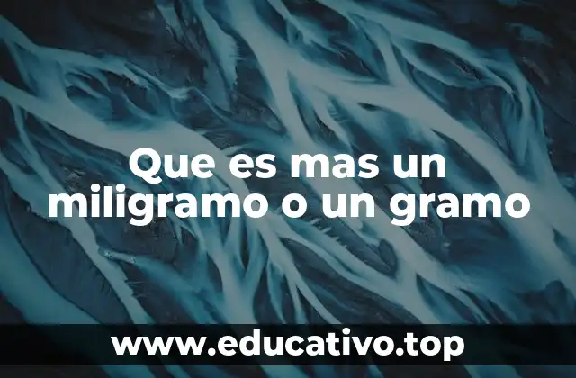 Que es mas un miligramo o un gramo
