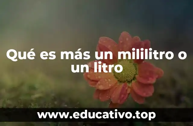 Qué es más un mililitro o un litro