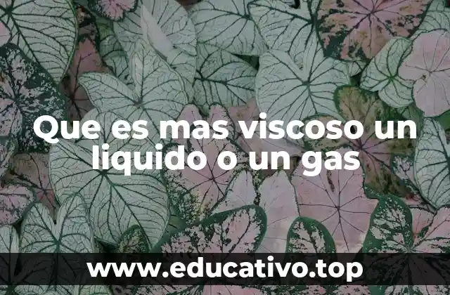Que es mas viscoso un liquido o un gas