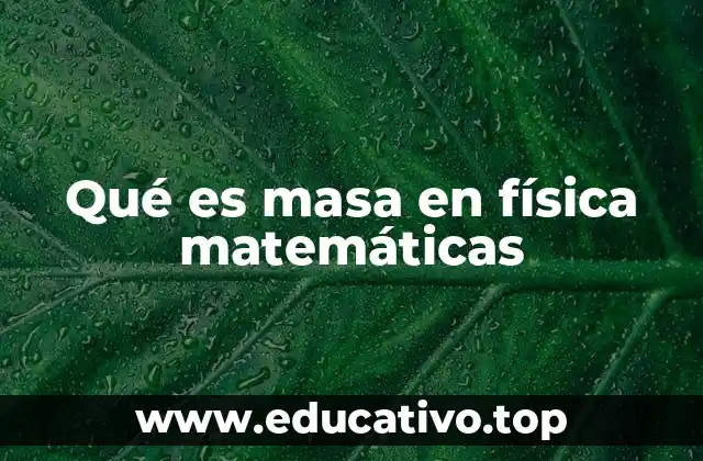Qué es masa en física matemáticas