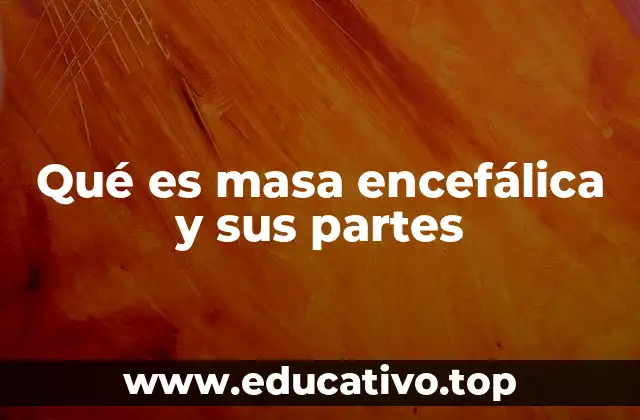 Qué es masa encefálica y sus partes