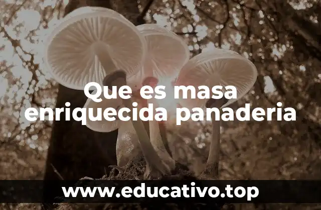 Que es masa enriquecida panaderia