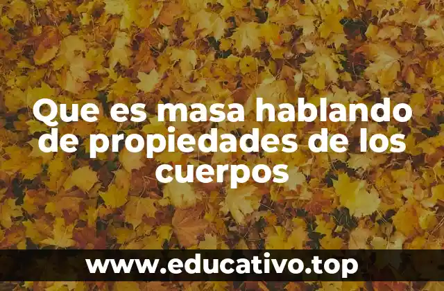 Que es masa hablando de propiedades de los cuerpos