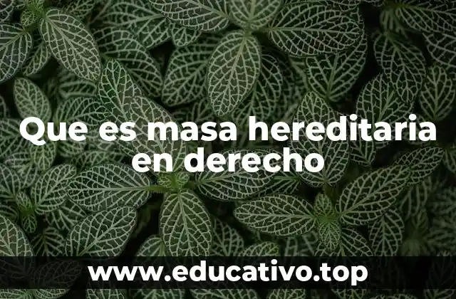 Que es masa hereditaria en derecho