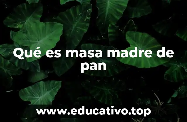 La ciencia detrás de la masa madre