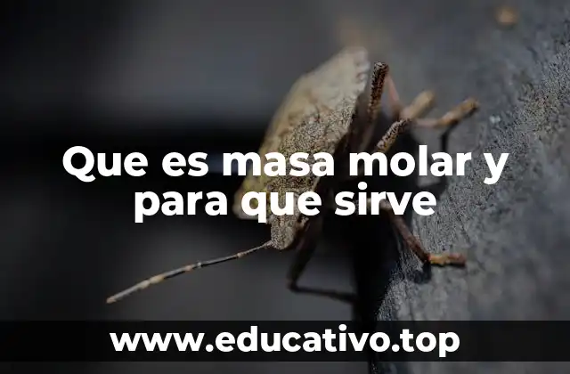 Que es masa molar y para que sirve