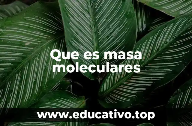 Que es masa moleculares
