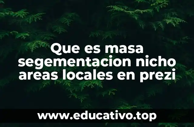 Que es masa segementacion nicho areas locales en prezi